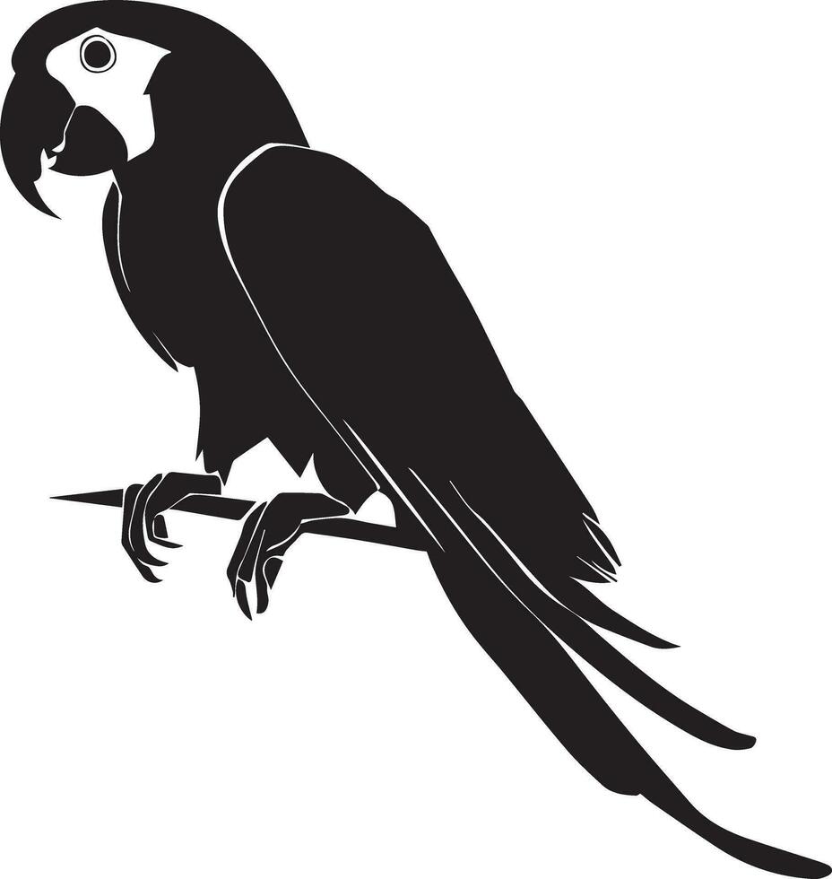 papegaai vector silhouet illustratie