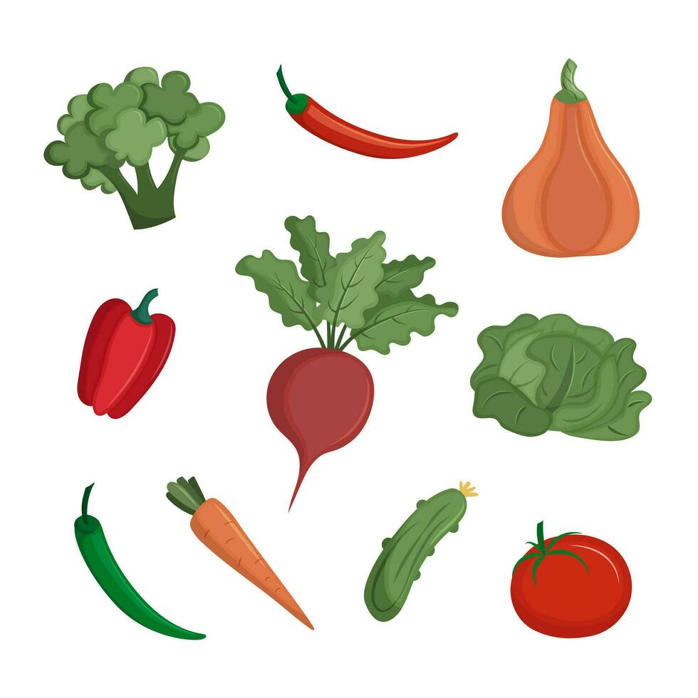 reeks van natuurlijk boerderij producten. groenten voor vegetariërs. vlak vector illustratie geïsoleerd Aan wit achtergrond.