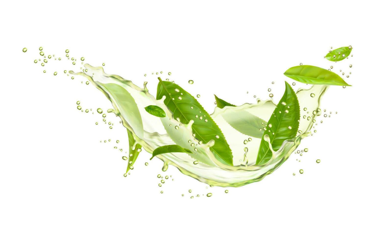 groen thee drinken kolken plons, bladeren en druppels vector