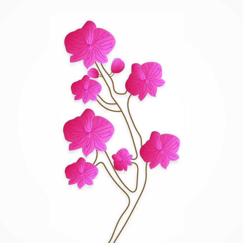 illustratie grafisch vector mooi roze orchidee bloem voor groet kaart, bruiloft uitnodiging