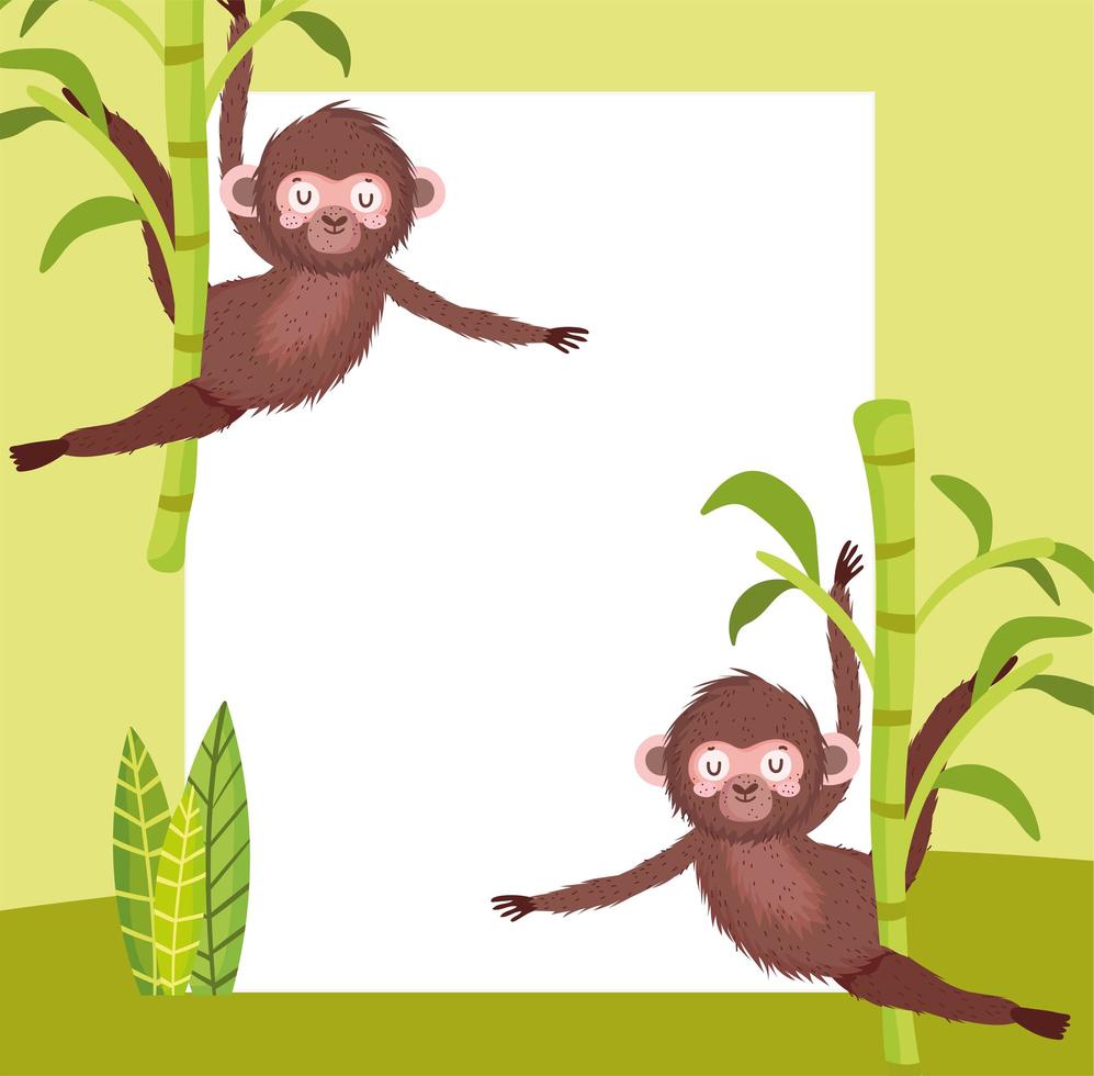 schattige apen en leeg bord vector