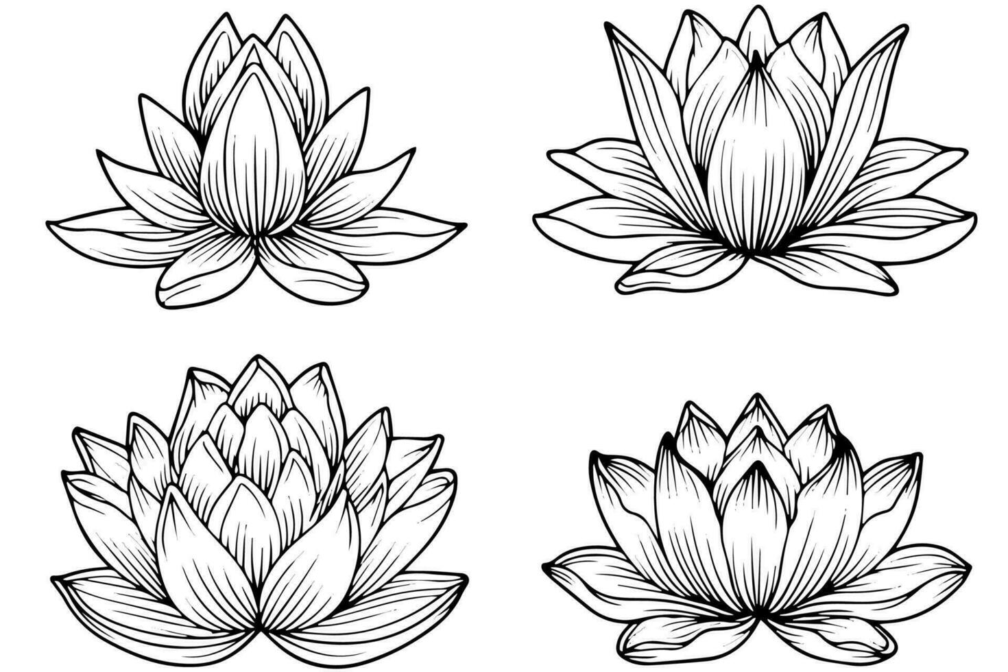 een lotus lelie water bloem in een wijnoogst houtsnede gegraveerde etsen stijl vector illustratie.