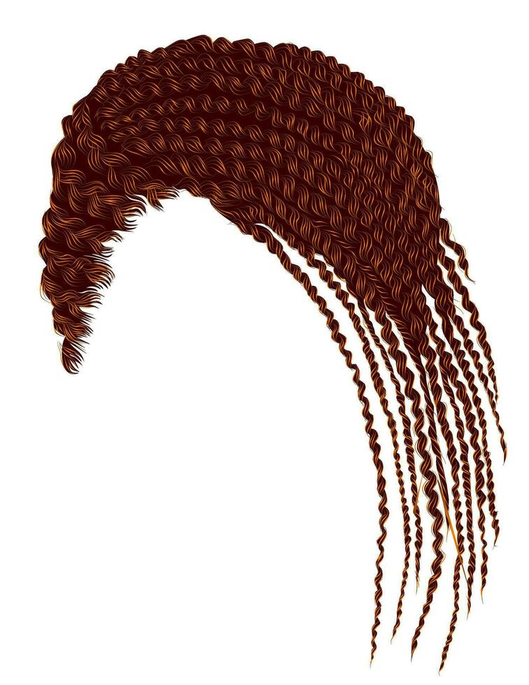 modieus Afrikaanse haar- cornrows. vector