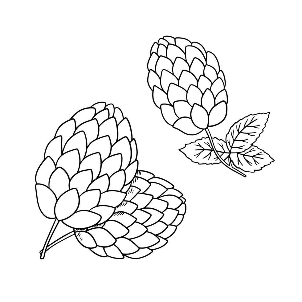 lijn mout geïsoleerd Aan wit achtergrond. schets illustratie van bier botanisch fabriek met bladeren vector