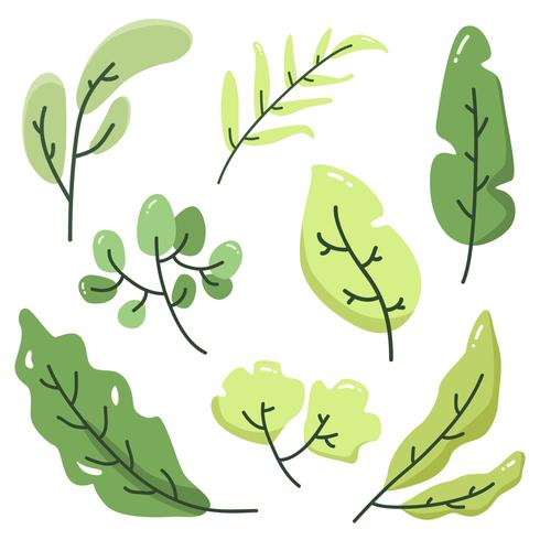 Groene bladeren Vector collectie