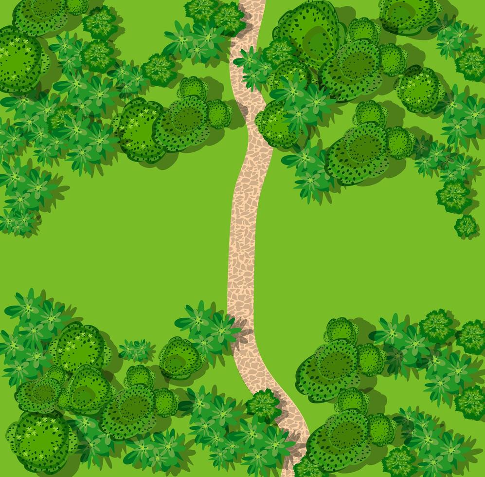 bovenaanzicht van het landschap met bos vector