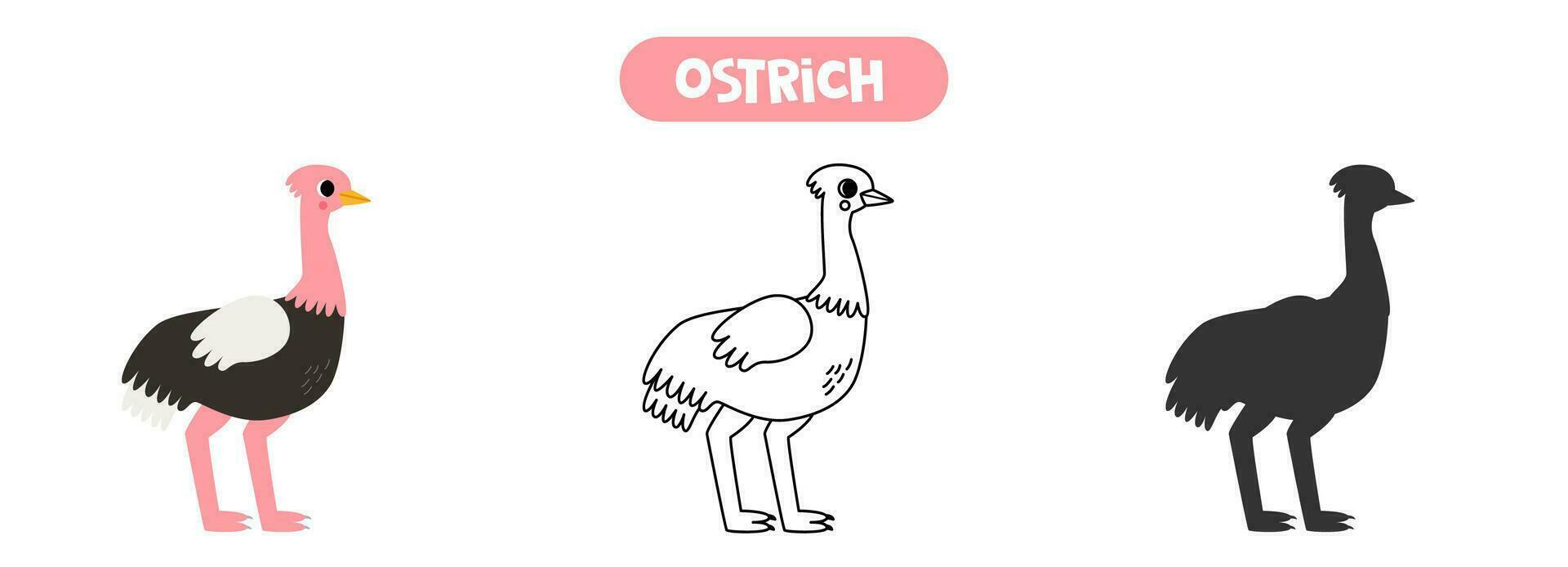 kleurrijk afbeelding, zwart en wit illustratie, vector silhouet. schattig tekenfilm struisvogel.