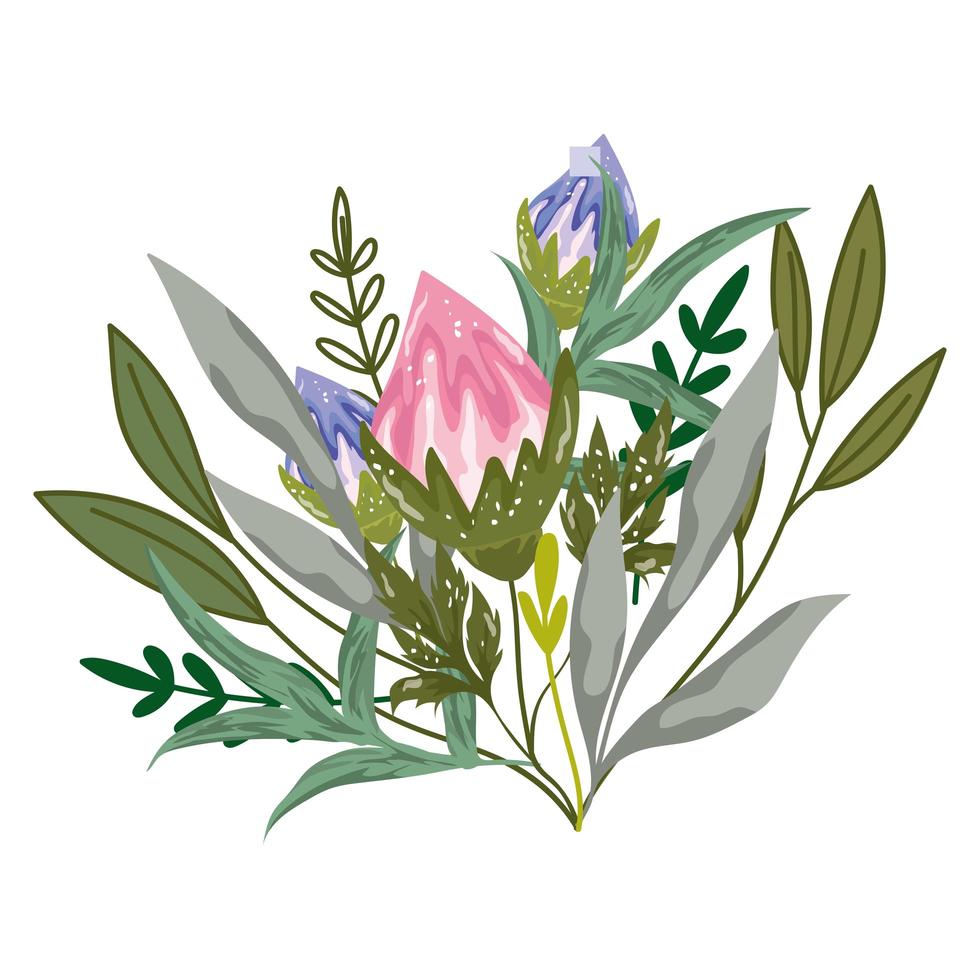 bloemen bladeren gebladerte vers natuur geïsoleerd ontwerp vector