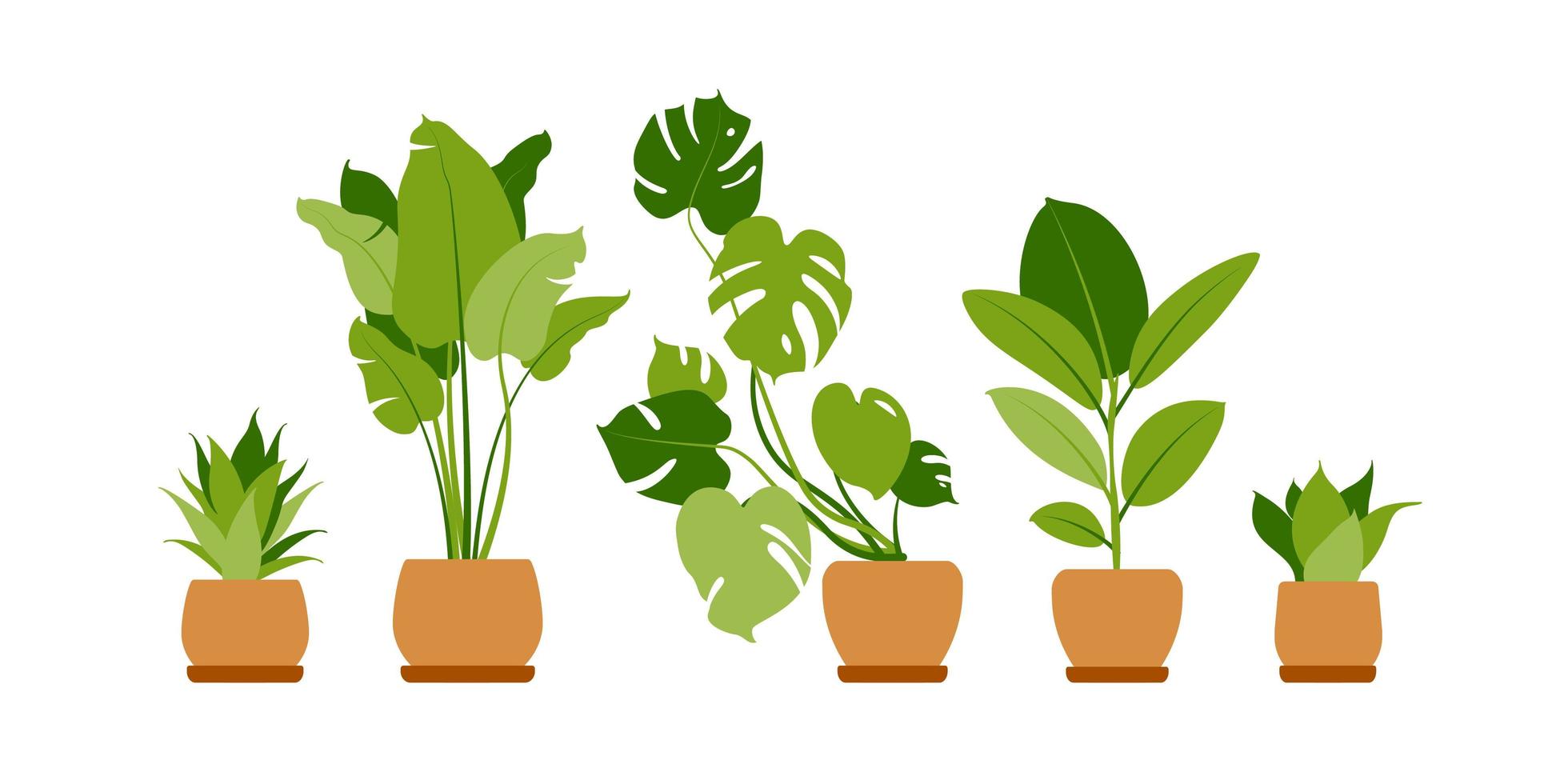 collectie huisplanten. potplanten geïsoleerd op wit. vector set groene tropische planten. trendy woondecoratie met kamerplanten, plantenbakken, cactussen, tropische bladeren. vlak.