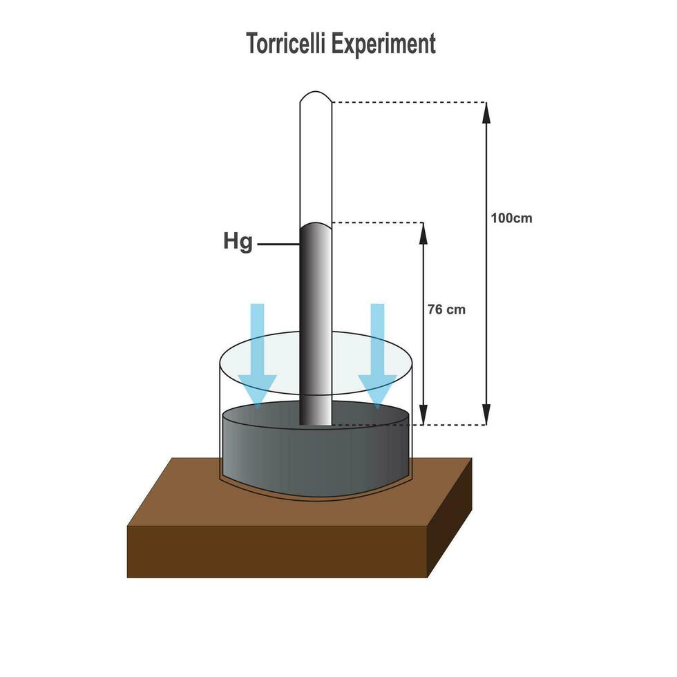 torricelli experiment en sfeervol druk vector illustratie. diagram van kwik barometer. torricellian barometer.