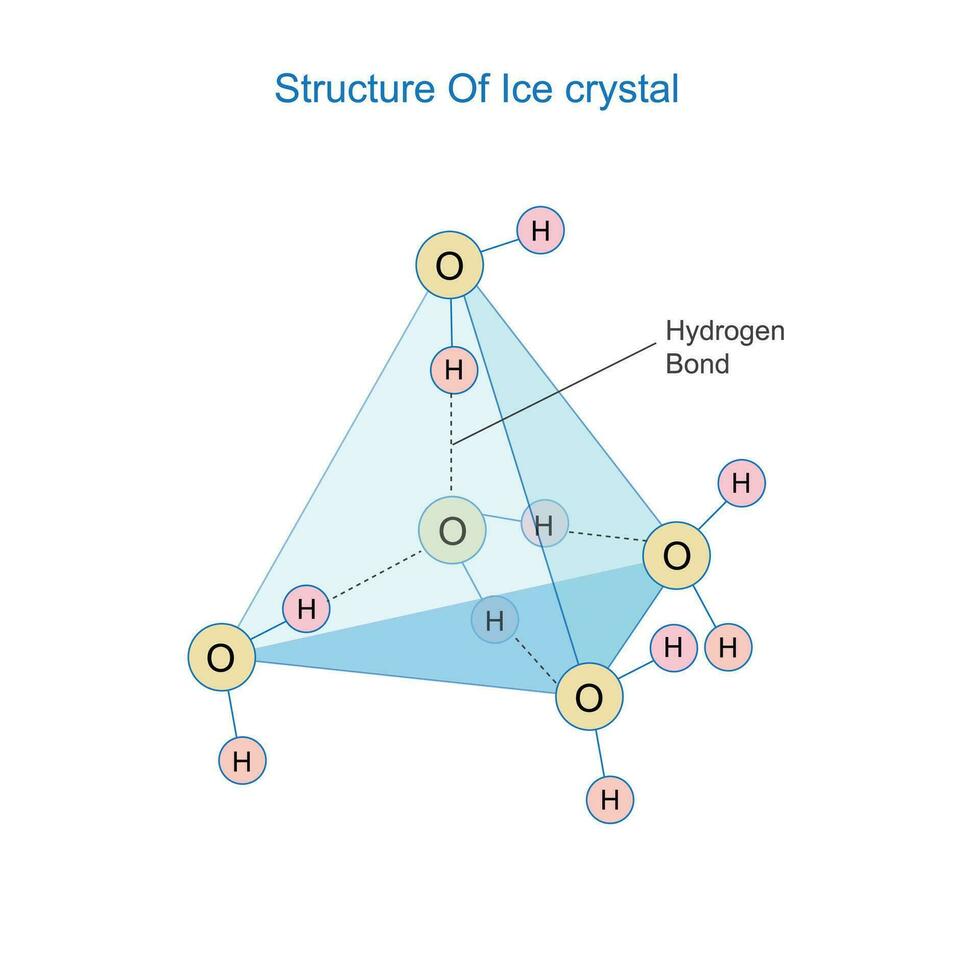 kristallijn structuur van ijs.inter moleculair waterstof obligaties , tetraëdrische structuur. vector