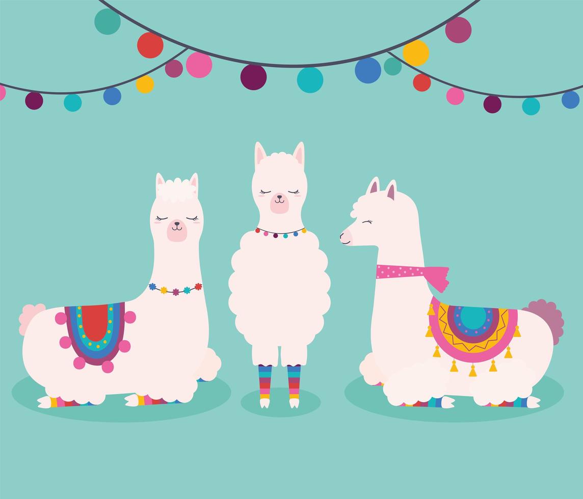 drie lieve lama's vector