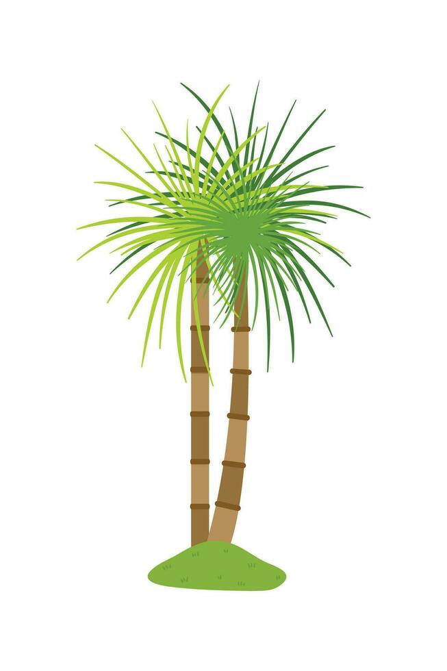 palm boom illustratie in vlak stijl geïsoleerd in wit achtergrond. tropisch zomer fabriek illustratie. vector