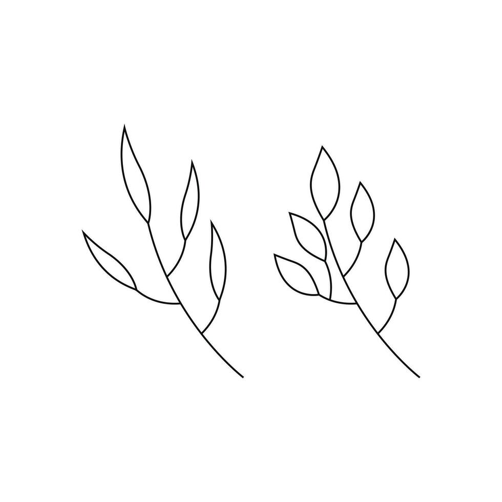 bladeren icoon vector ontwerp lijn geïsoleerd wit achtergrond