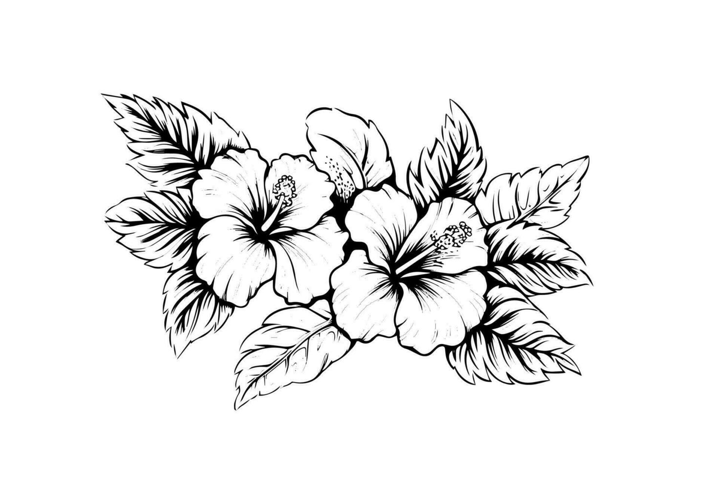 hibiscus bloemen in een wijnoogst houtsnede gegraveerde etsen stijl. vector illustratie.