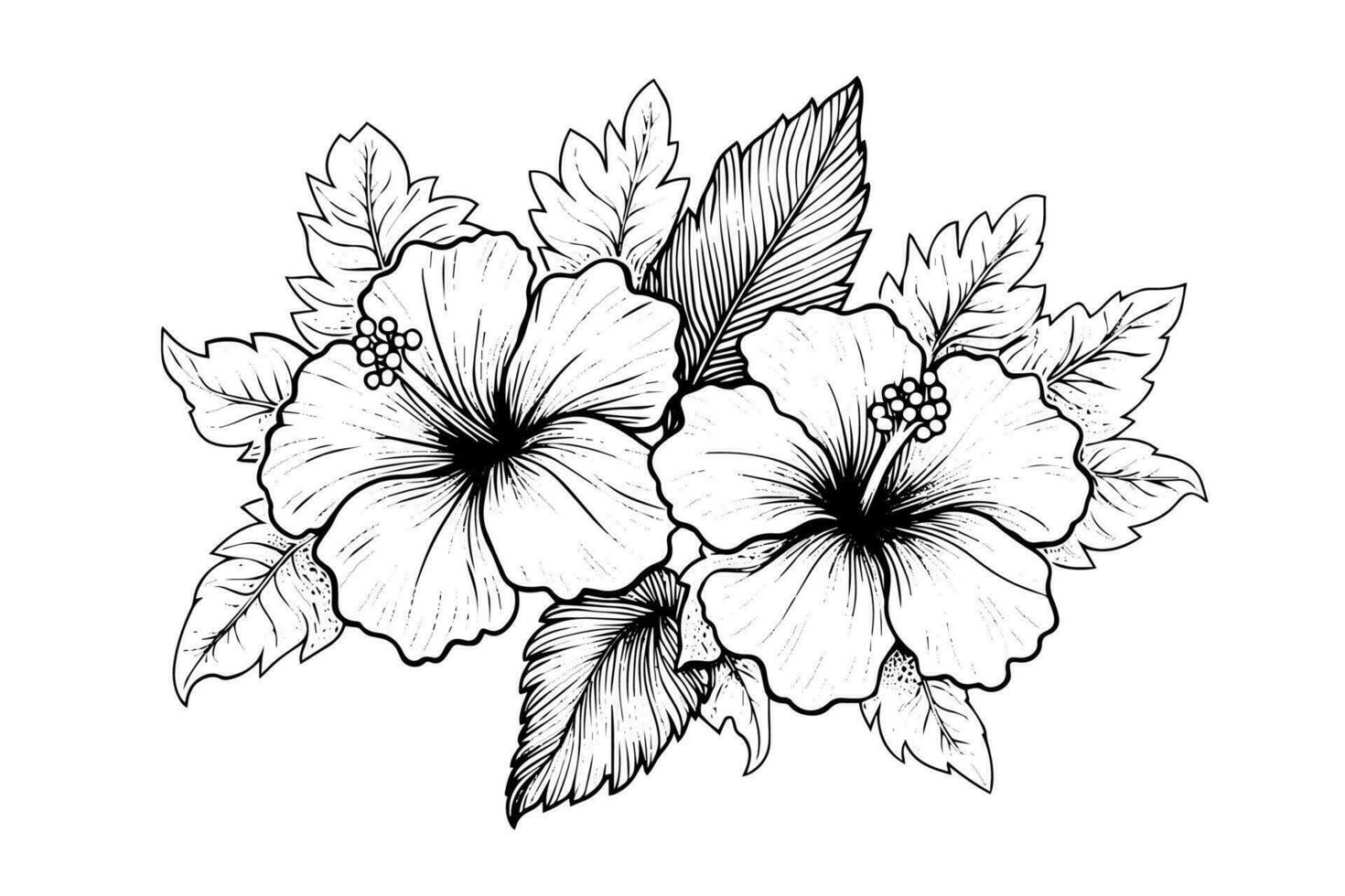 hibiscus bloemen in een wijnoogst houtsnede gegraveerde etsen stijl. vector illustratie.