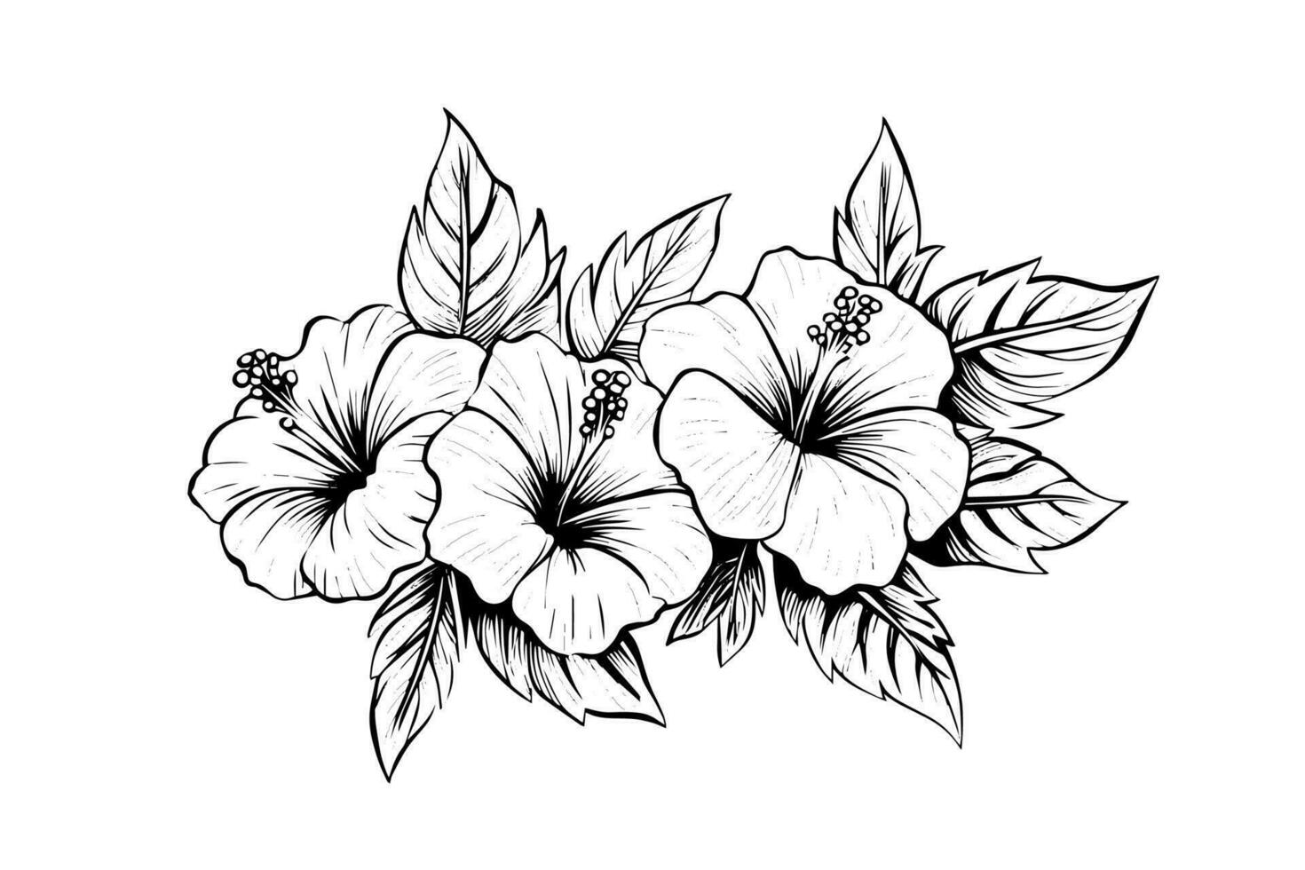 hibiscus bloemen in een wijnoogst houtsnede gegraveerde etsen stijl. vector illustratie.