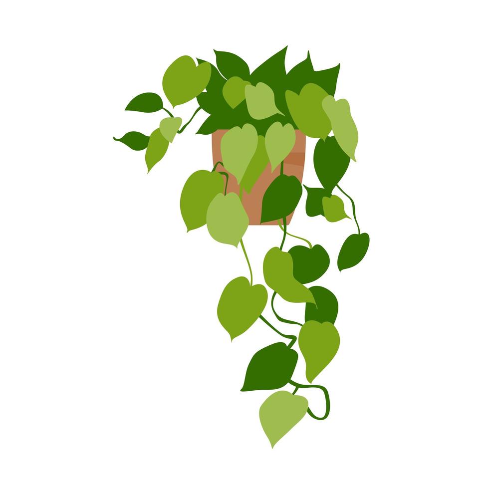 huis plant. potplant geïsoleerd op wit. vlak. vectorillustratie. vector