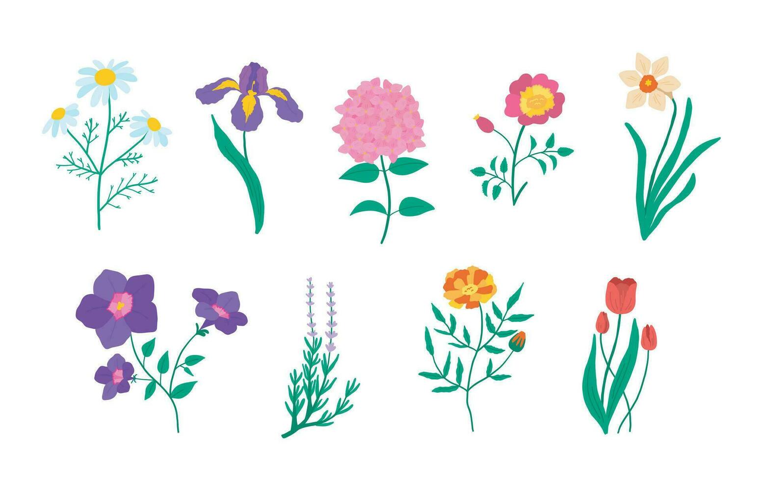 tekenfilm kleur botanisch reeks van tuin bloemen planten. vector