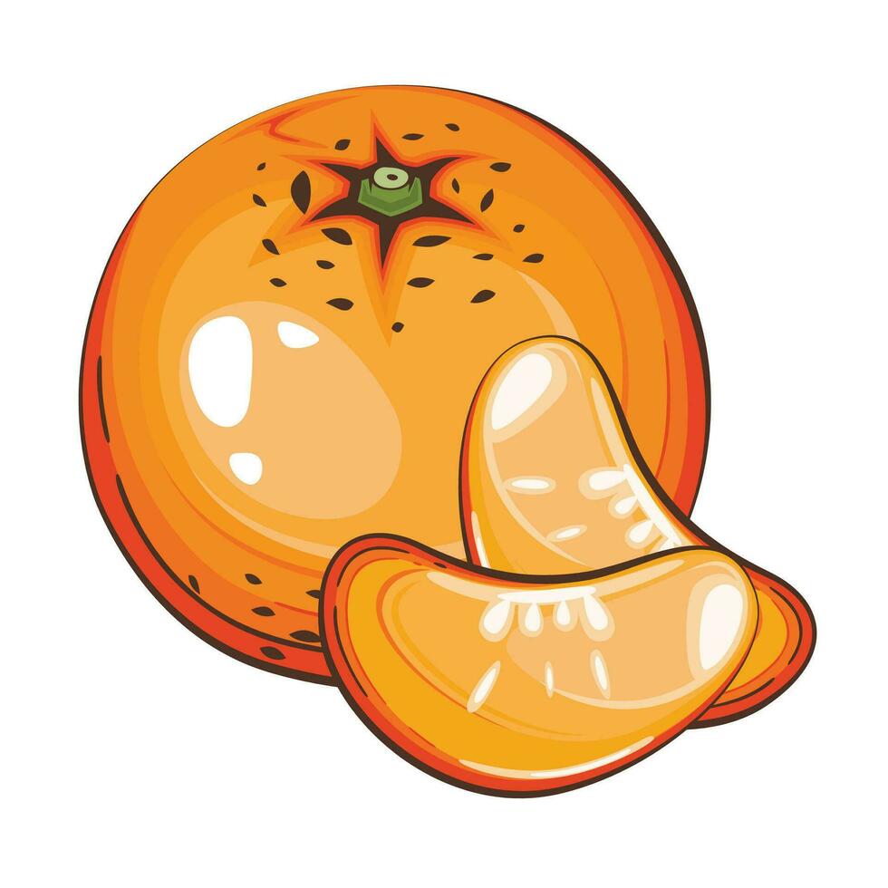 mandarijn- geïsoleerd vector illustratie. fruit kleurrijk illustraties geïsoleerd Aan wit achtergrond. fruit verzameling.