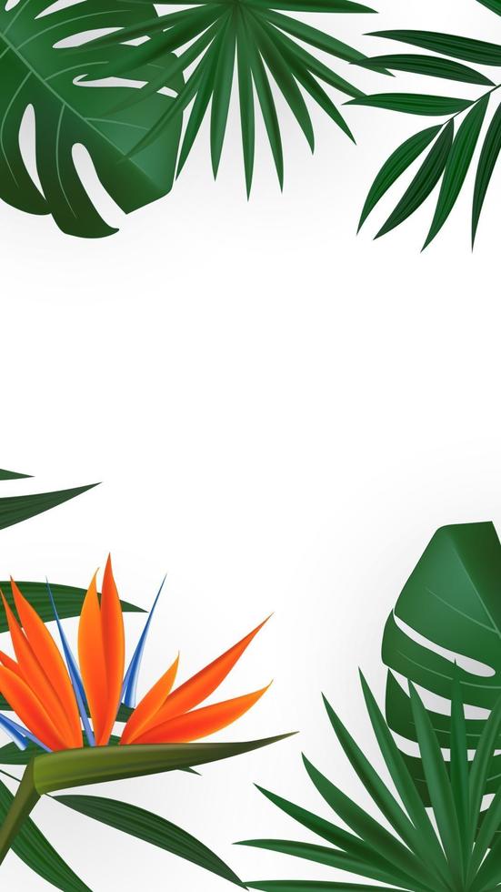 natuurlijk realistisch groen palmblad met de tropische achtergrond van de strelitzia-bloem. vector illustratie eps10