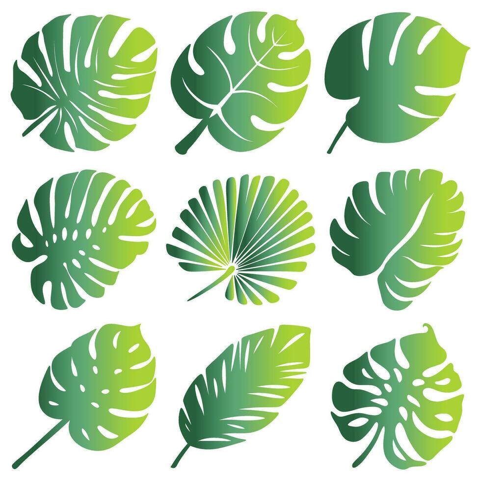 vrij vector silhouet illustratie verzameling van tropisch blad vormen