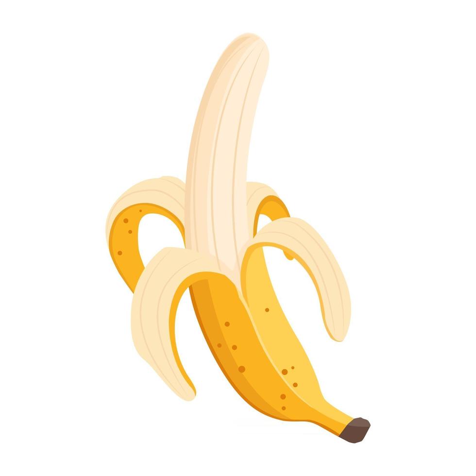 cartoon vector illustratie geïsoleerde object voedsel fruit banaan