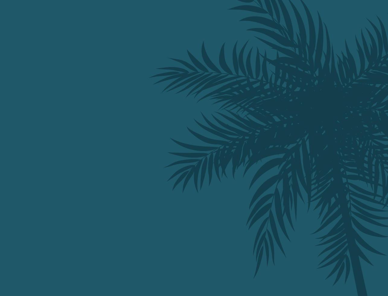 beautifil palmboom blad silhouet achtergrond vectorillustratie vector