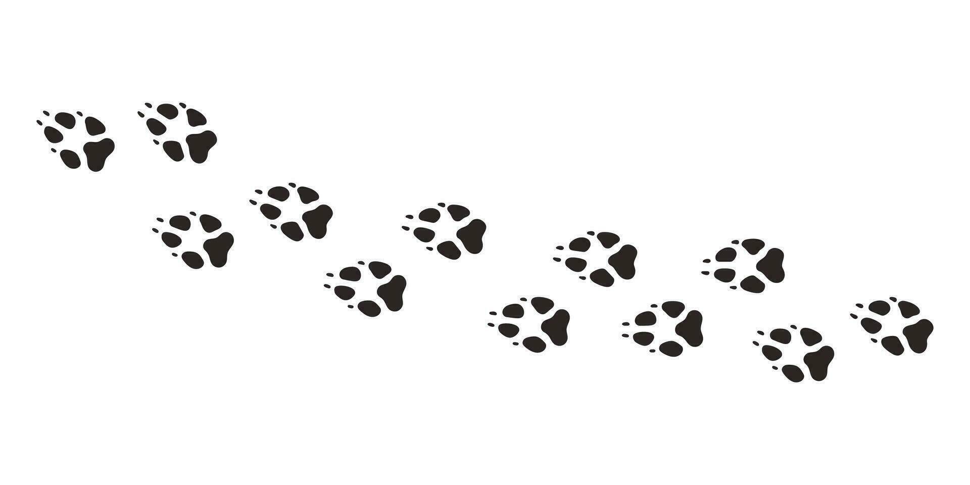 vos poten. dier poot afdrukken, vector verschillend dieren voetafdrukken zwart Aan wit achtergrond illustratie