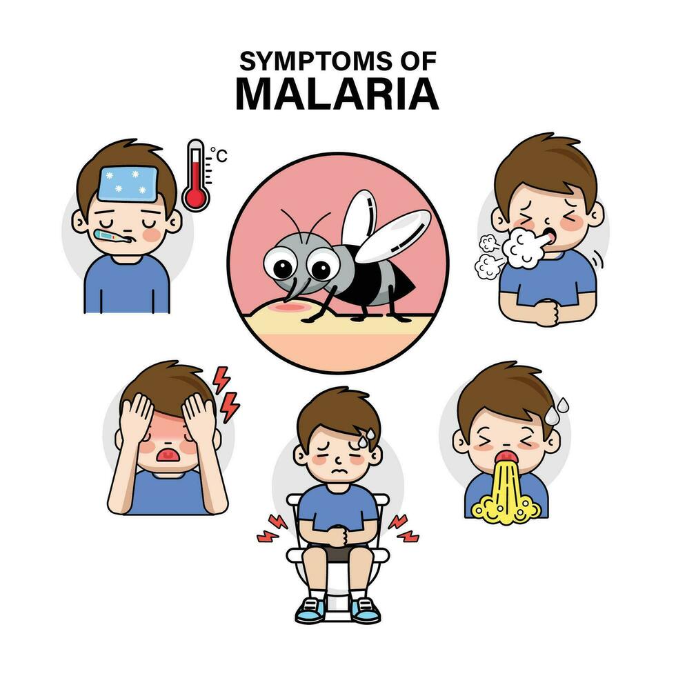 symptomen van malaria tekenfilm stijl infographic illustratie vector