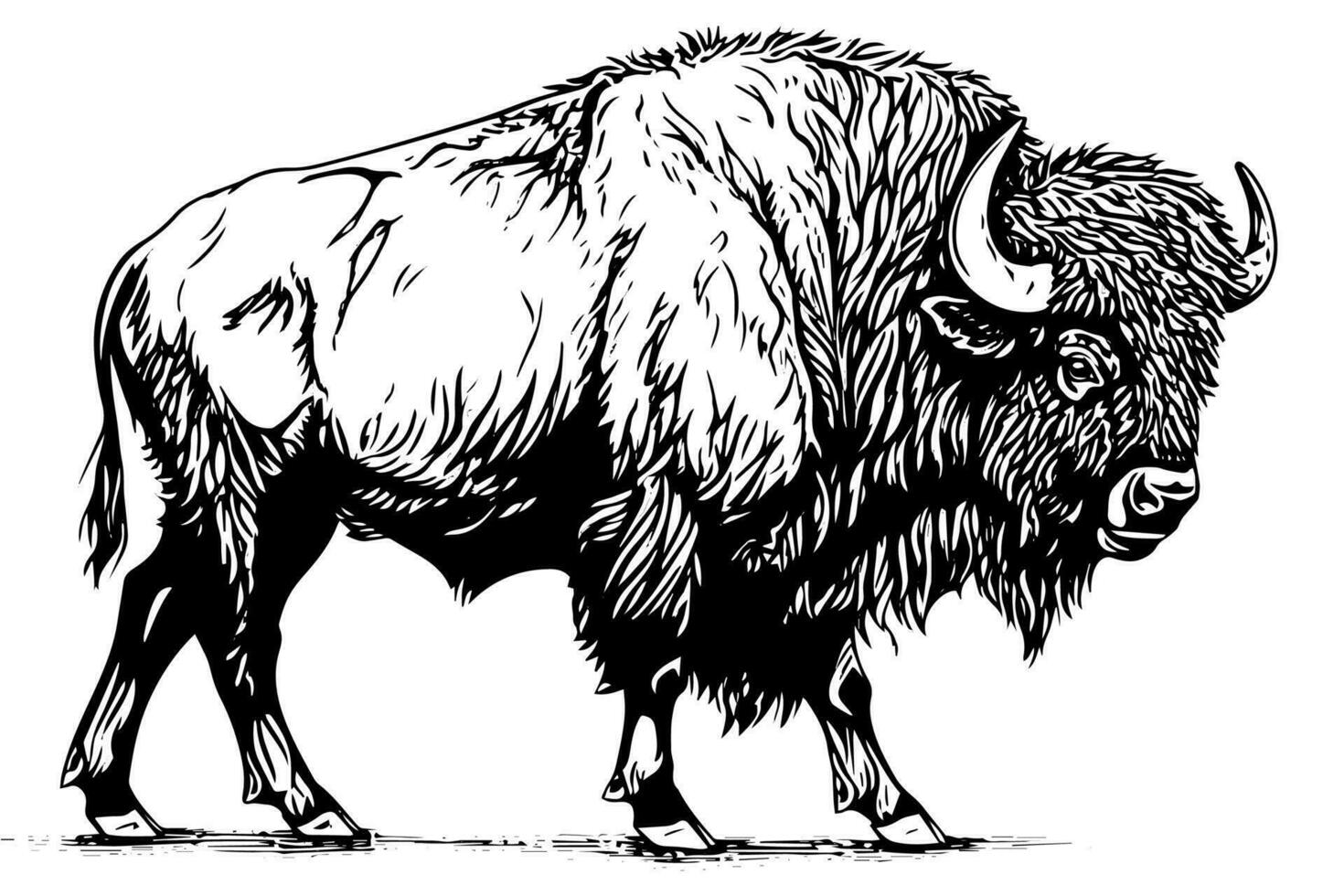 hand- getrokken buffel. vector illustratie van stier inkt schetsen gravure stijl.