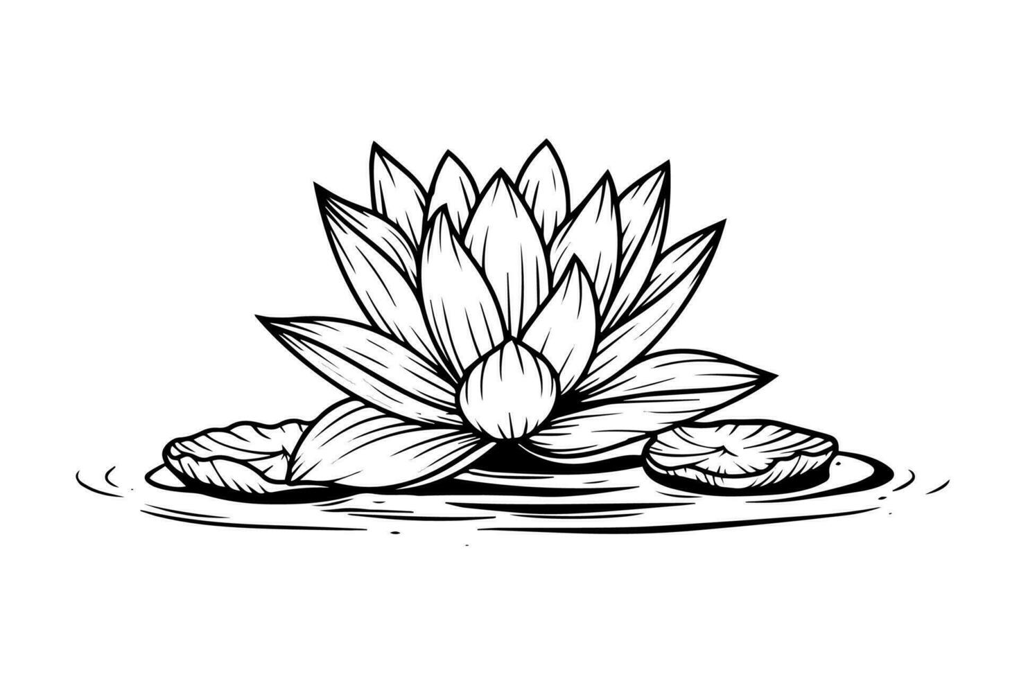 een lotus lelie water bloem in een wijnoogst houtsnede gegraveerde etsen stijl vector illustratie.