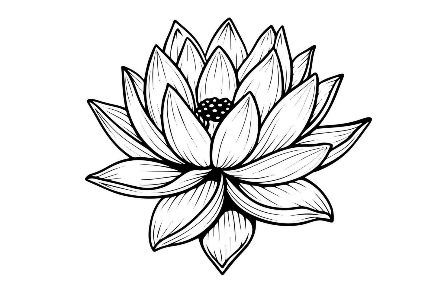 een lotus lelie water bloem in een wijnoogst houtsnede gegraveerde etsen stijl vector illustratie.