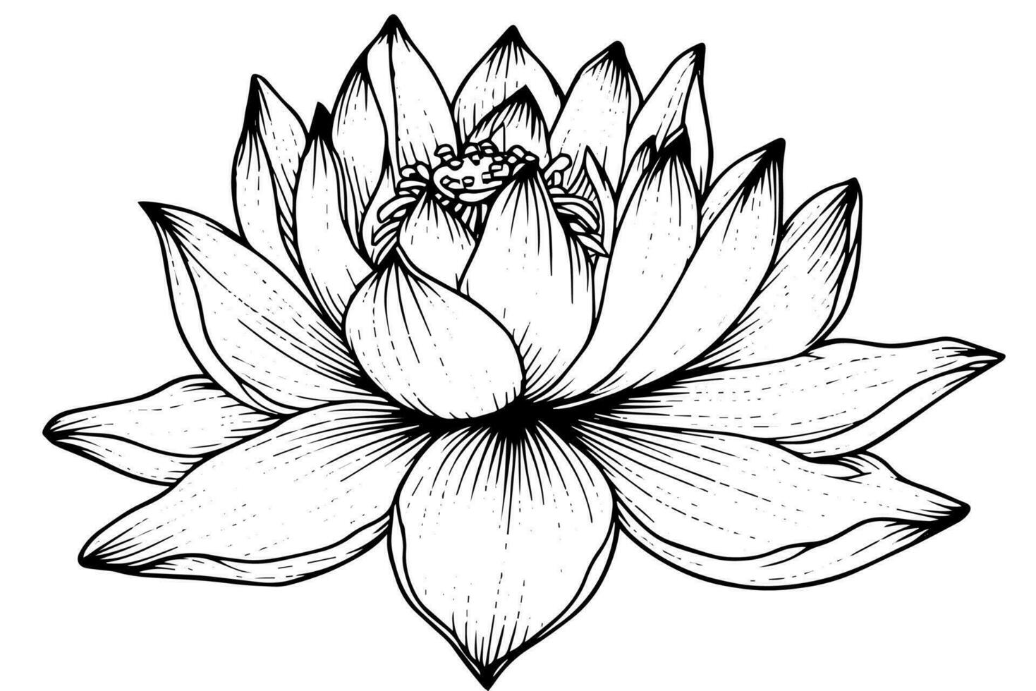 een lotus lelie water bloem in een wijnoogst houtsnede gegraveerde etsen stijl vector illustratie.