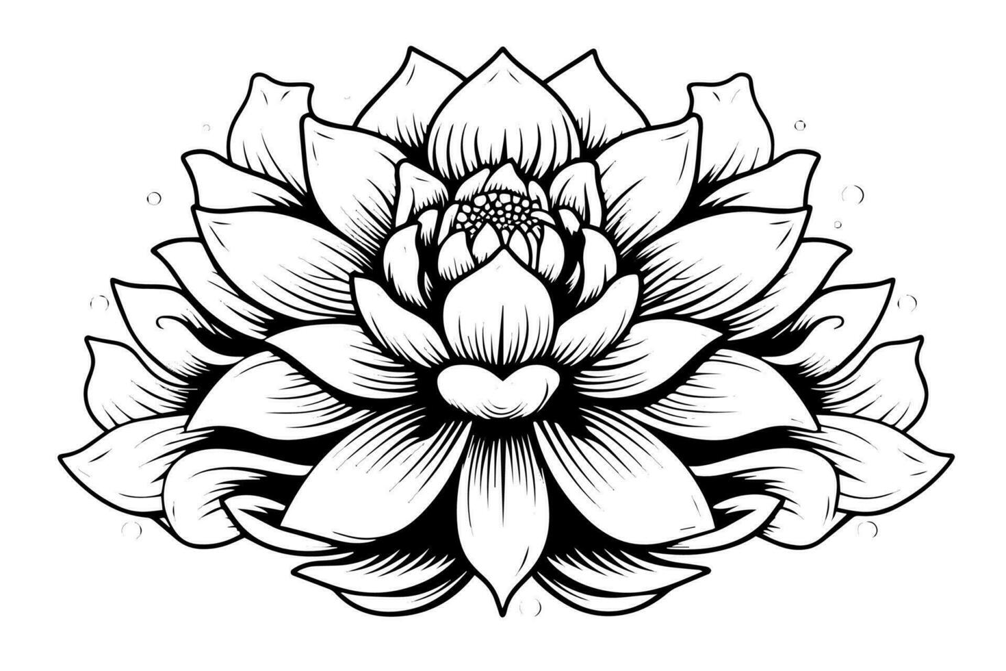 een lotus lelie water bloem in een wijnoogst houtsnede gegraveerde etsen stijl vector illustratie.