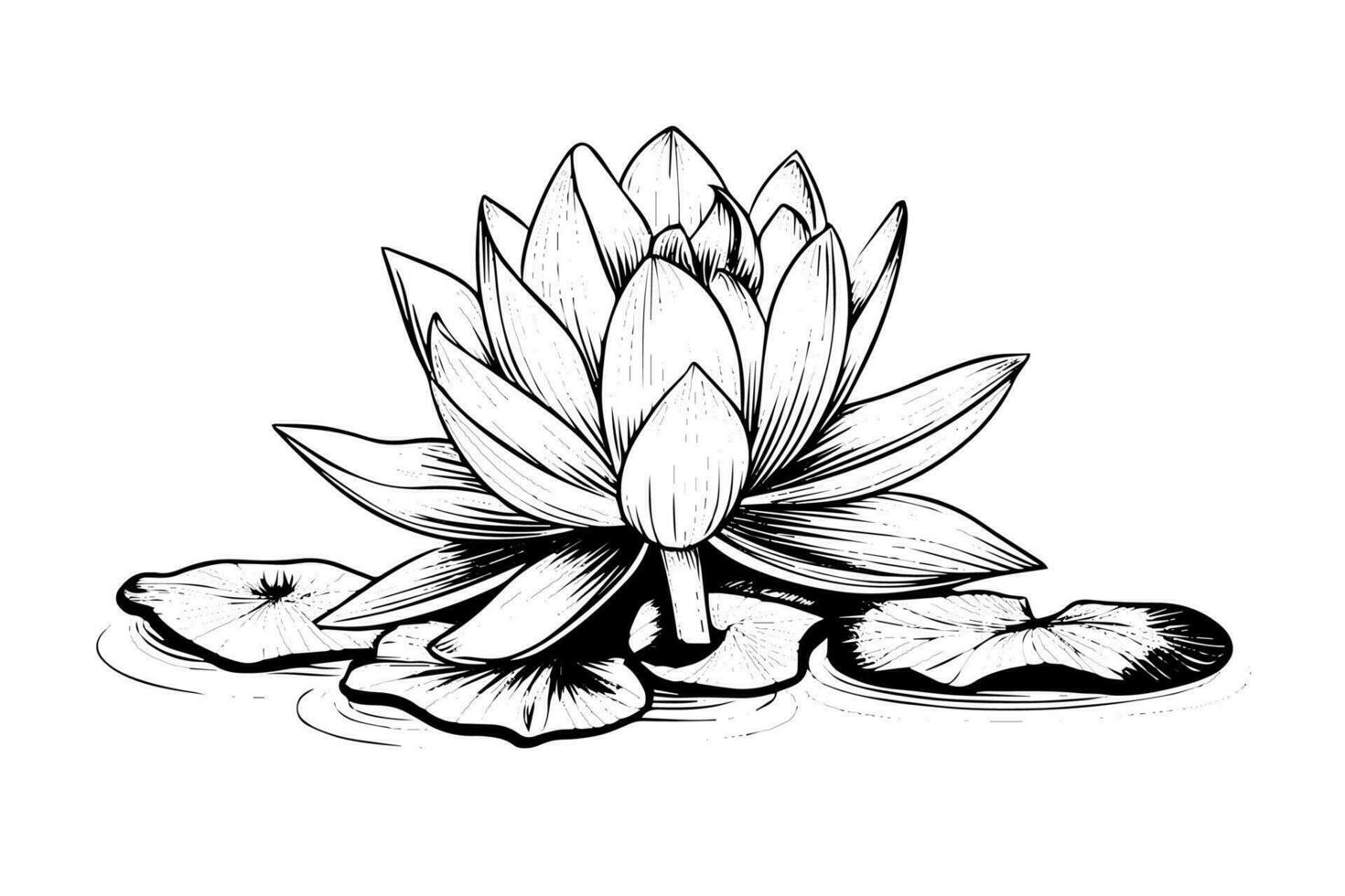 een lotus lelie water bloem in een wijnoogst houtsnede gegraveerde etsen stijl vector illustratie.