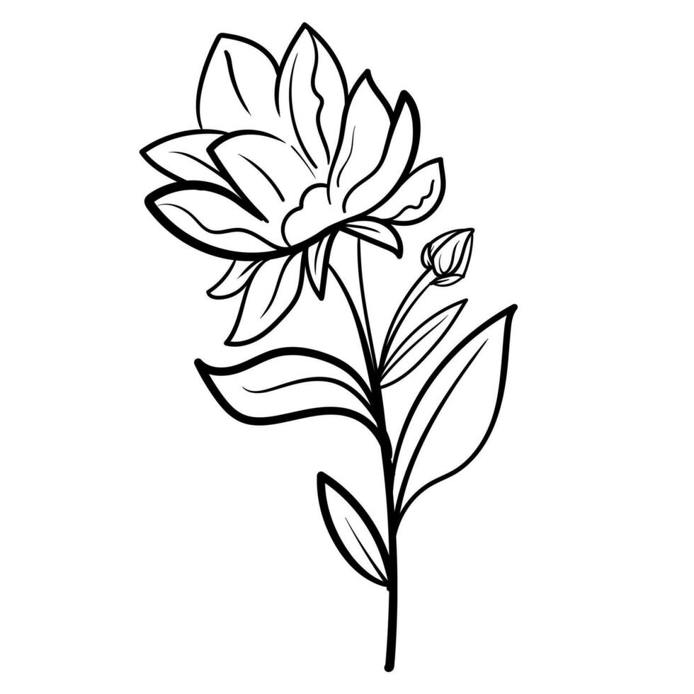 schets hand- getrokken decoratief bloemen Afdeling en minimalistische bladeren voor logo of tatoeëren. hand- getrokken lijn bruiloft kruid, elegant wilde bloemen. minimaal lijn kunst tekening voor afdrukken, Hoes of behang vector