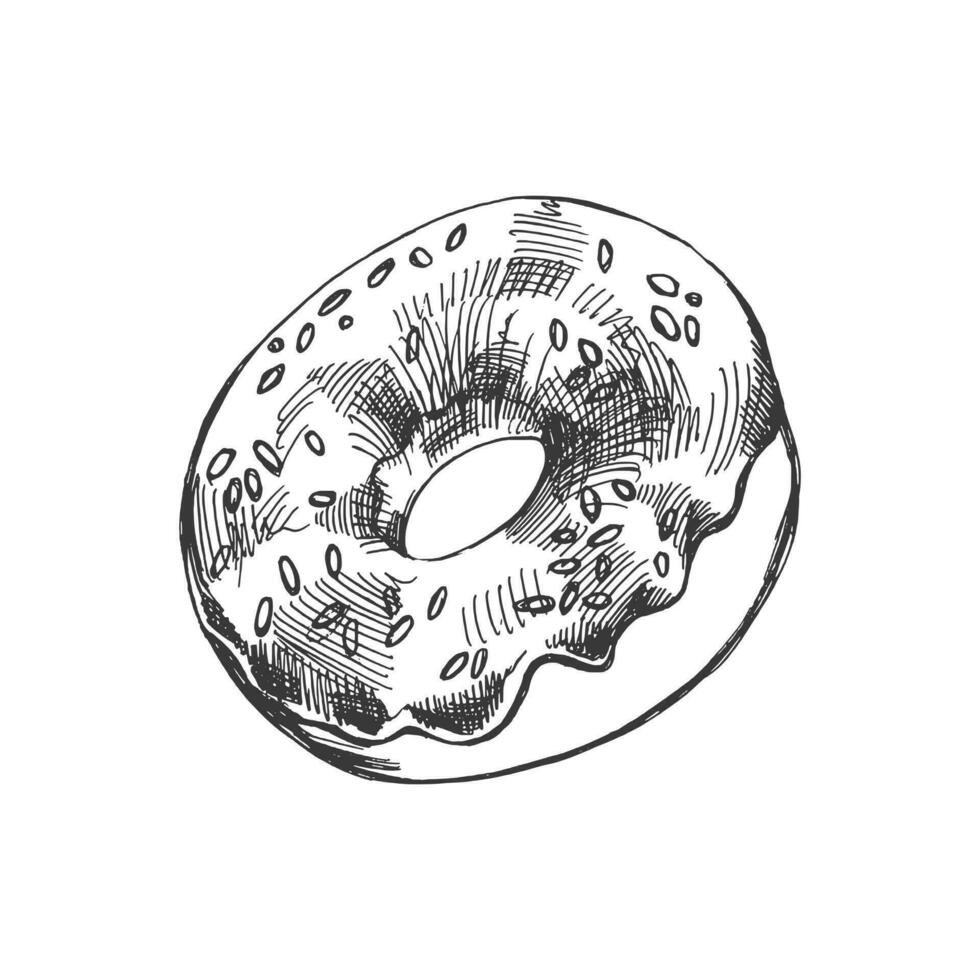 een hand getekend schetsen van donut. wijnoogst illustratie. gebakje snoepgoed, nagerecht. element voor de ontwerp van etiketten, verpakking en ansichtkaarten. vector