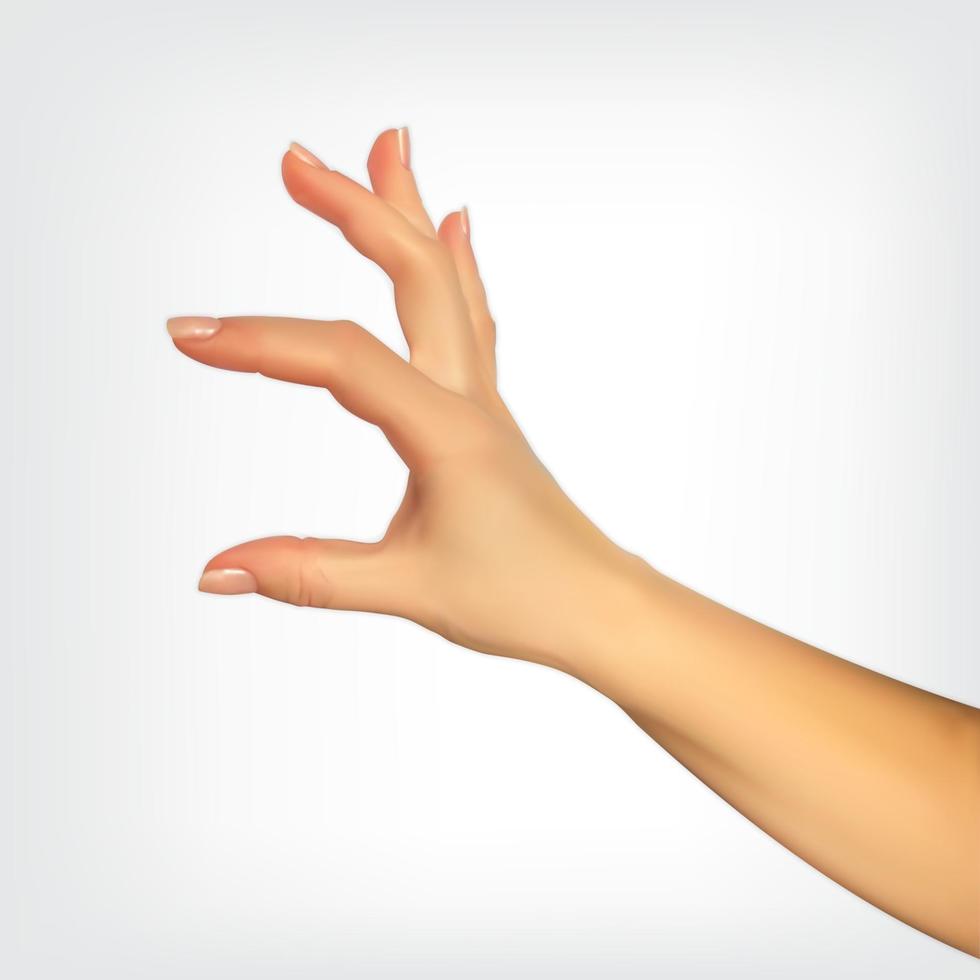 realistische hand die de grootte met vingers toont vector