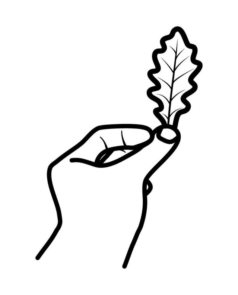 hand- Holding vallen blad herfst illustratie vector