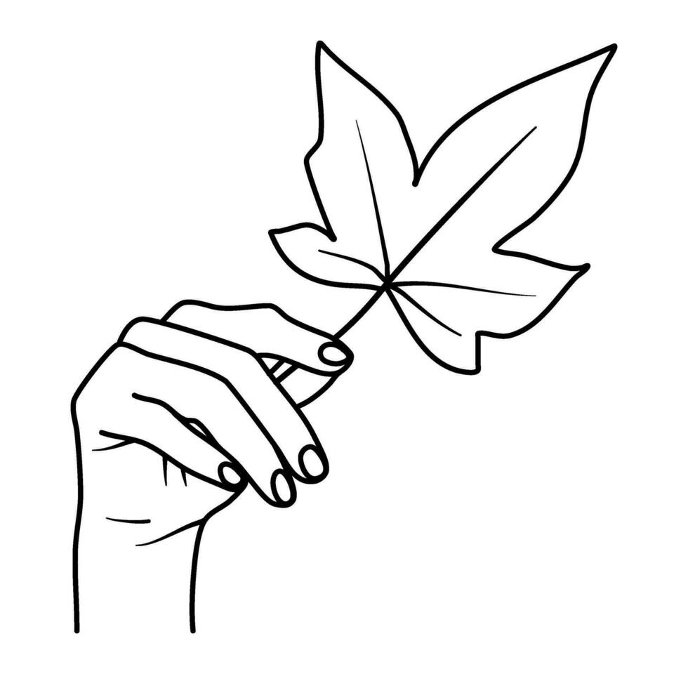 hand- Holding vallen blad herfst illustratie vector