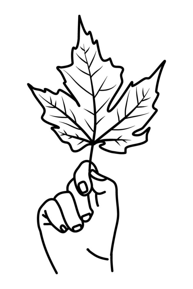 hand- Holding vallen blad herfst illustratie vector