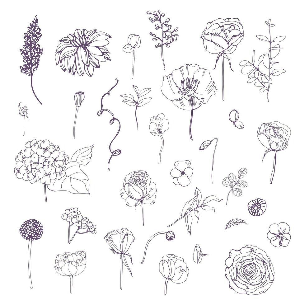 hand- getrokken schets bloemen elementen set. verzameling met verschillend bloemen en fabriek. vector