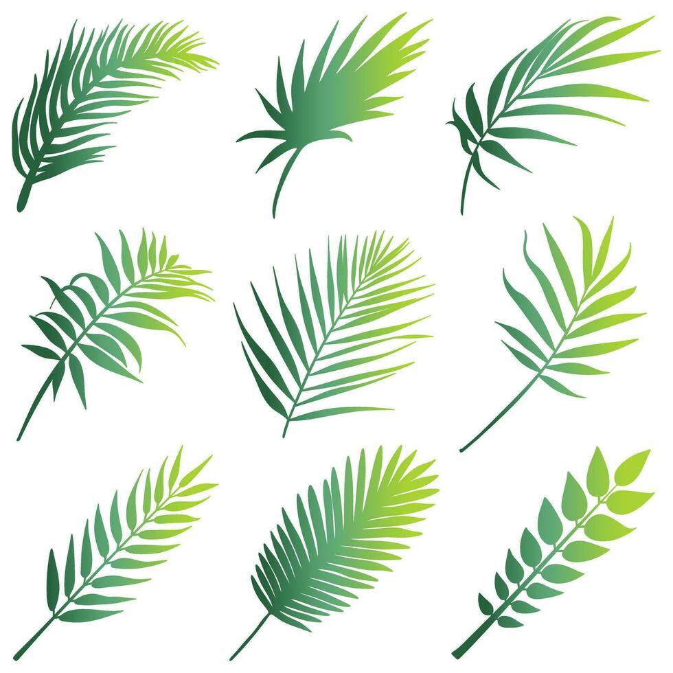 vrij vector silhouet illustratie verzameling van geel groen helling blad vormen