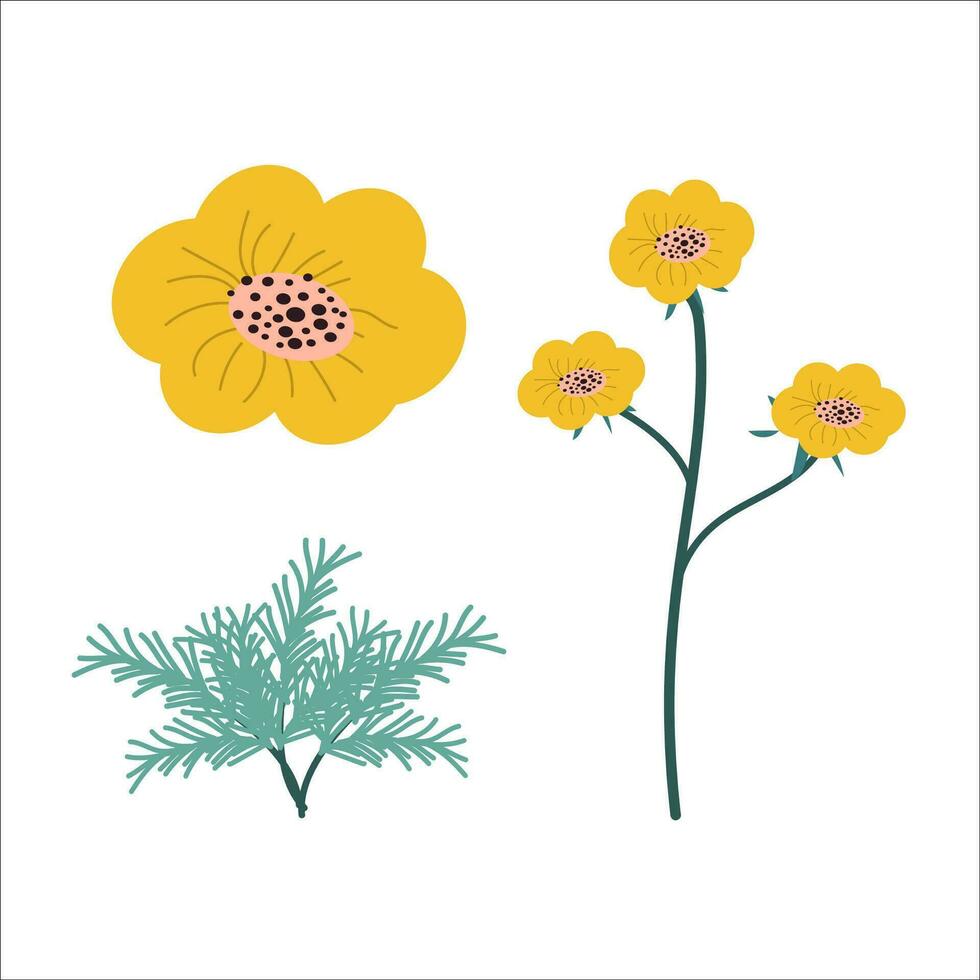 Californië papaver hand- getrokken gestileerde in een set. vector illustratie Aan wit achtergrond