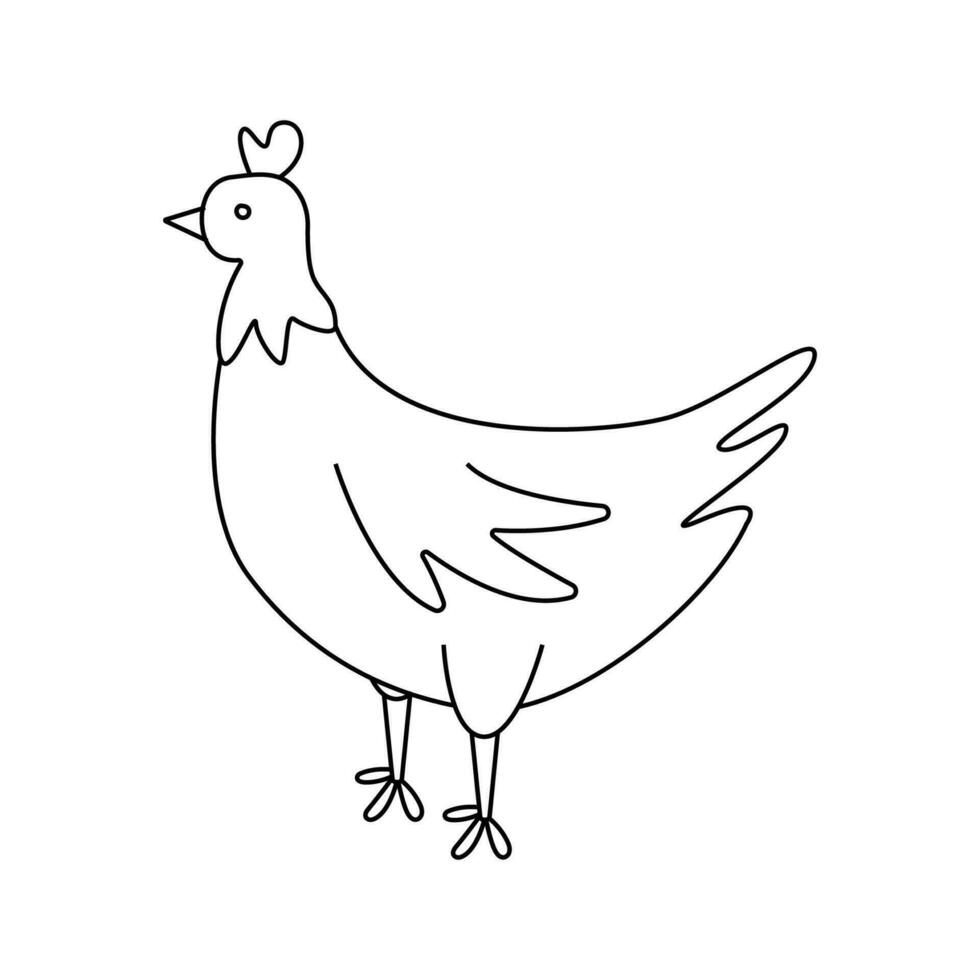 vector illustratie van een kip in tekening stijl.