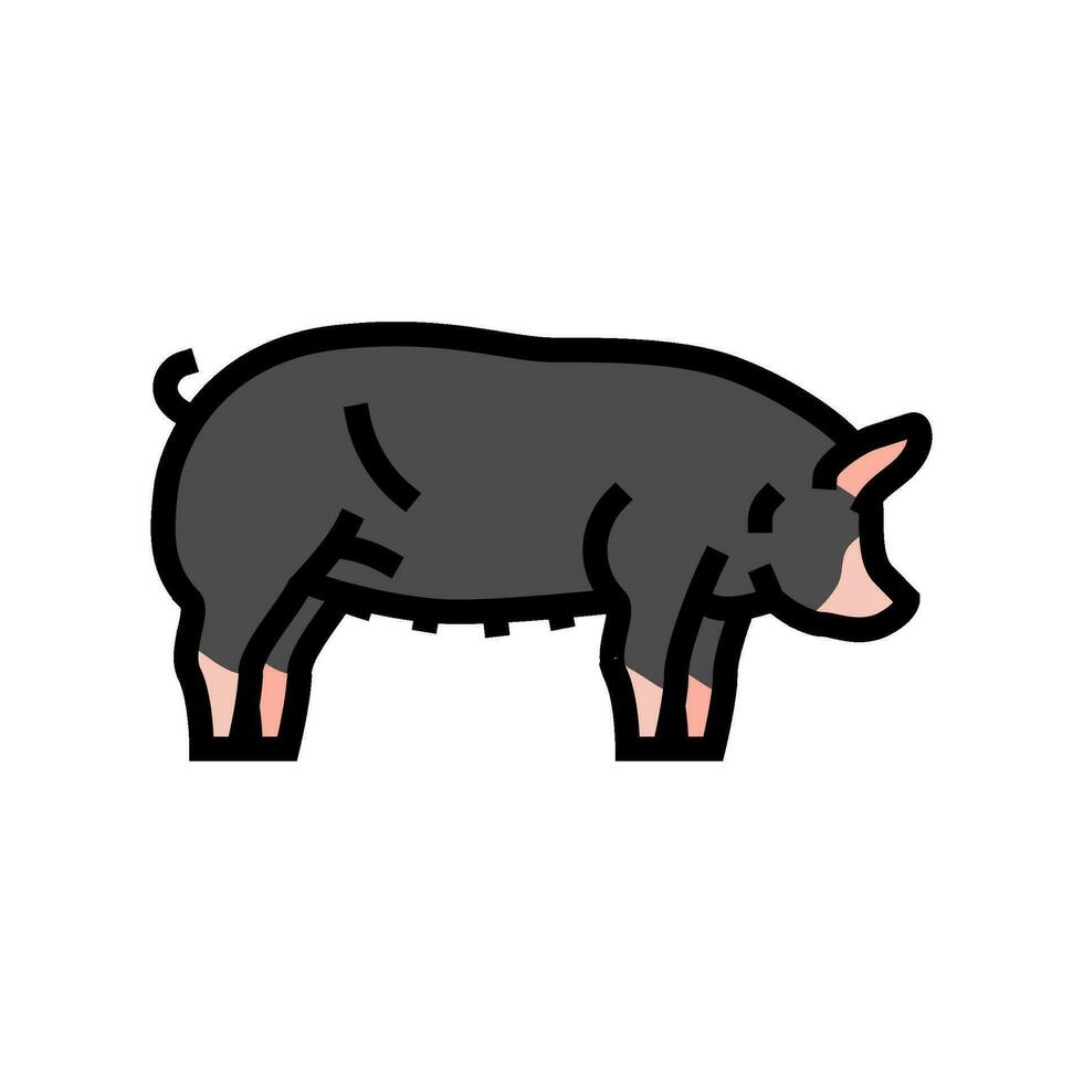 Berkshire varken ras kleur icoon vector illustratie