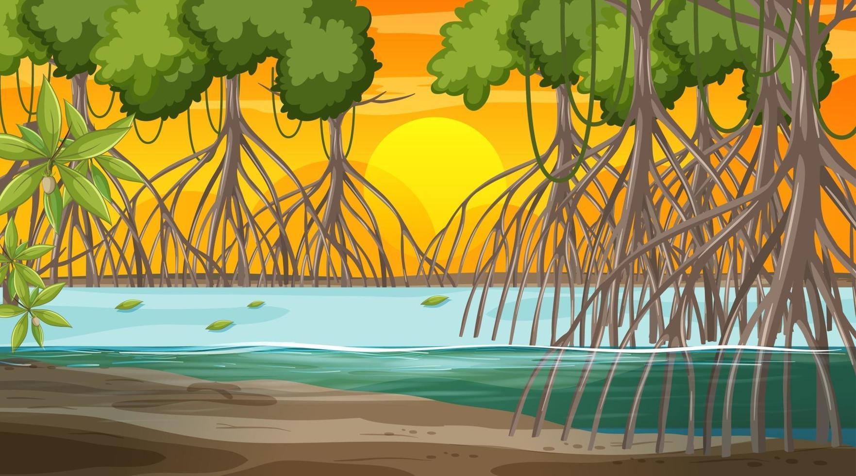mangroveboslandschapsscène bij zonsondergangtijd vector