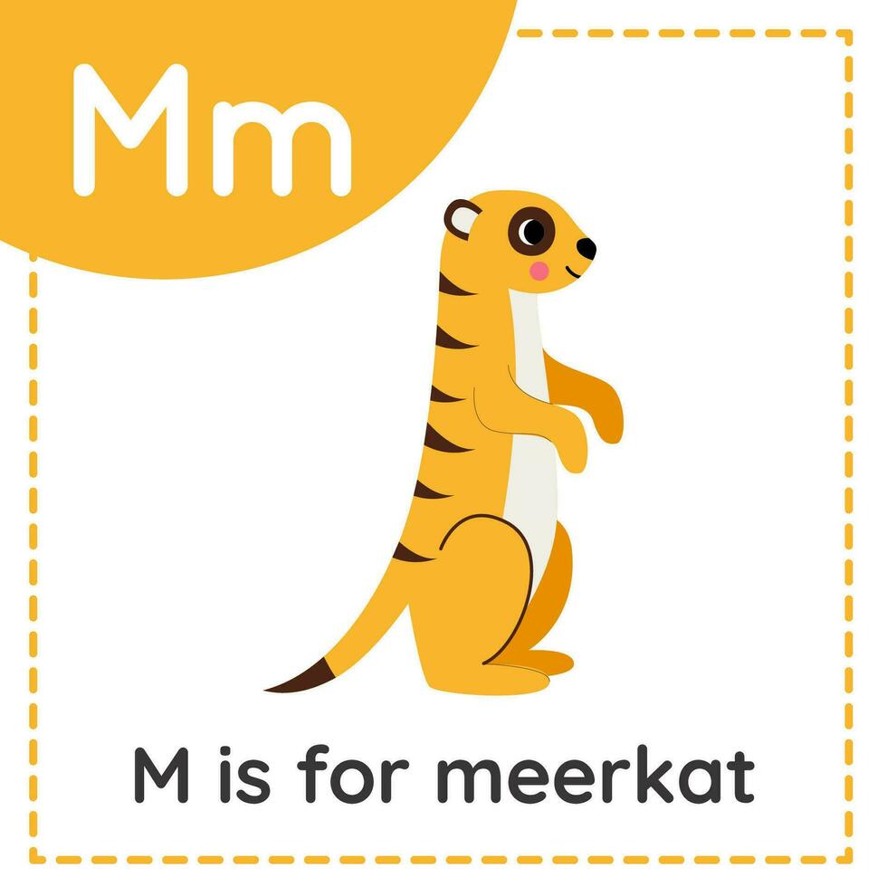 dier alfabet geheugenkaart voor kinderen. aan het leren brief m. m is voor stokstaartje. vector