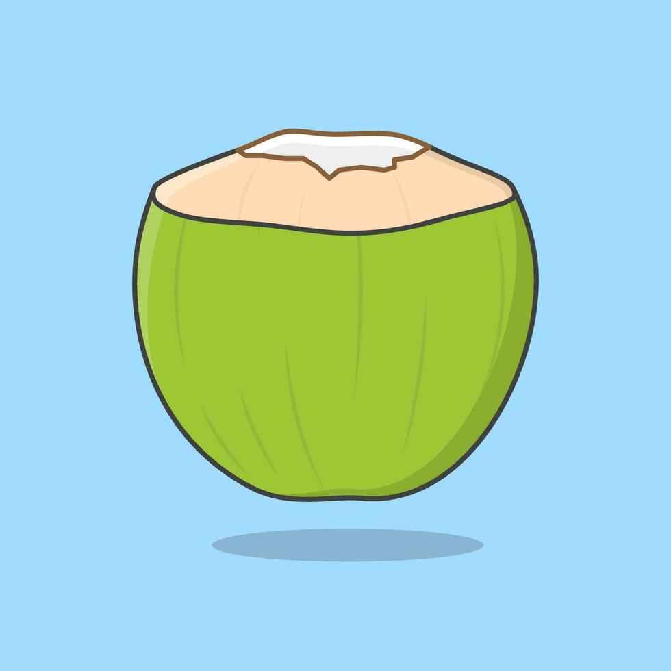 vers jong kokosnoot tekenfilm vector illustratie. groen kokosnoot vlak icoon schets